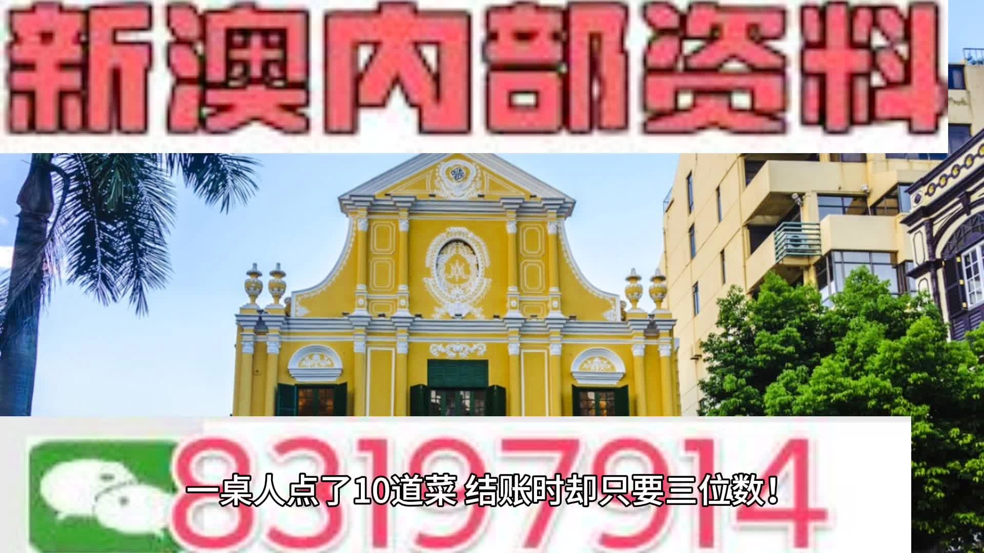 2025新澳门天天免费精准,详细解答、解释与落实