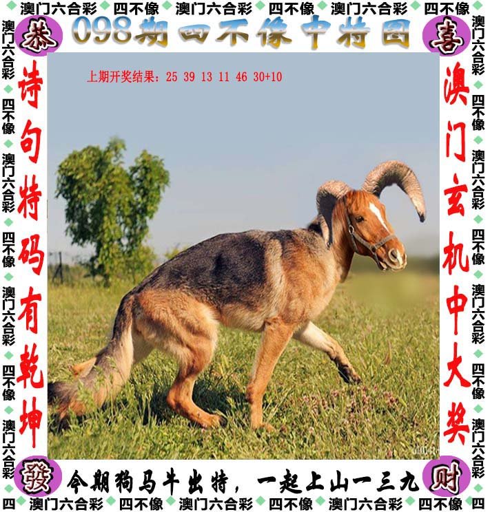 澳门今晚开特马四不像图,详细解答、解释与落实
