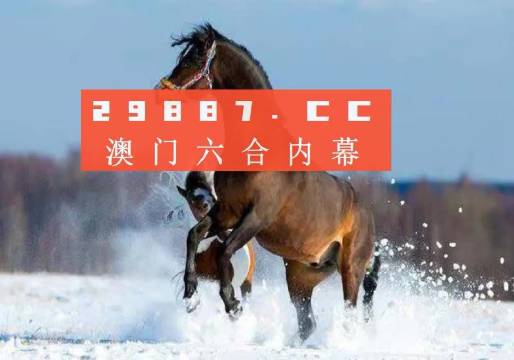 2025新澳门天天精准免费大全,详细解答、解释与落实