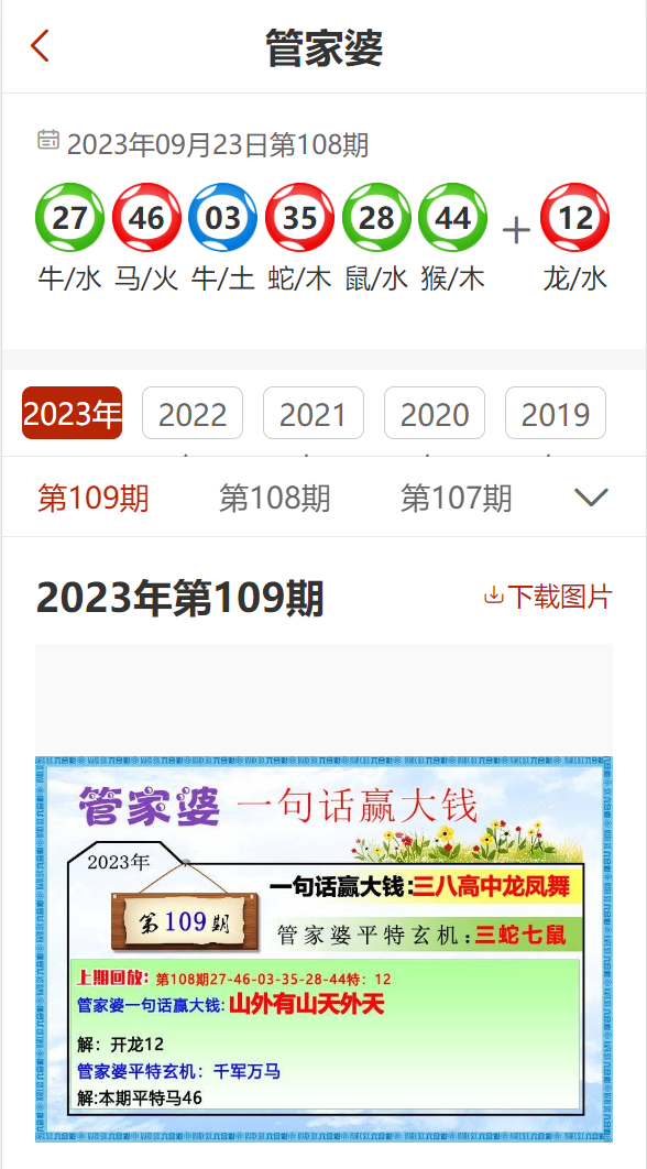澳门管家婆100%精准香港,详细解答、解释与落实