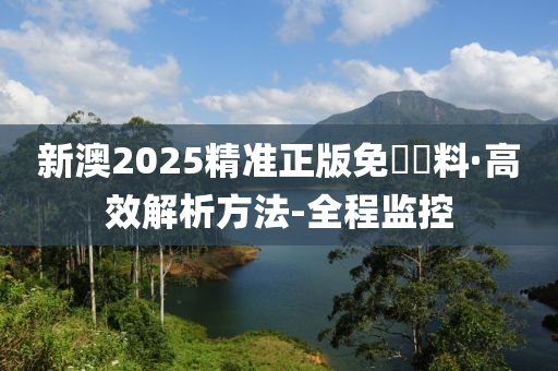 2025新澳精准正版免費資料,详细解答、解释与落实