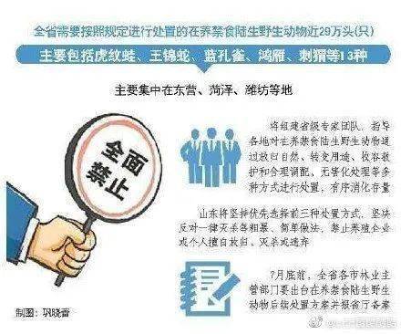 2025全年资料免费大全的虚假宣传-精选解析与落实