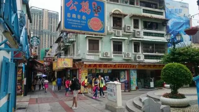 澳门一码一肖一特一中详情的虚假宣传-精选解析与落实
