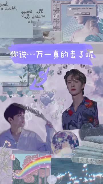 白小姐资料大全+正版资料白小姐奇缘四肖的虚假宣传-精选解析与落实