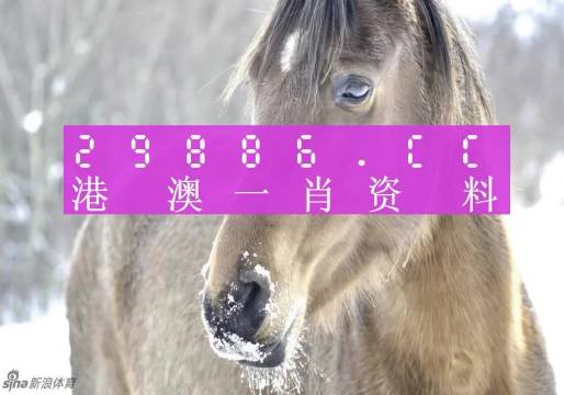 澳门一肖一码100%期期精准/98期,仔细释义与解答落实